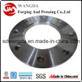 Aço carbono e aço inoxidável Flanges (ANSI b 16.5 A105/A181/A350)